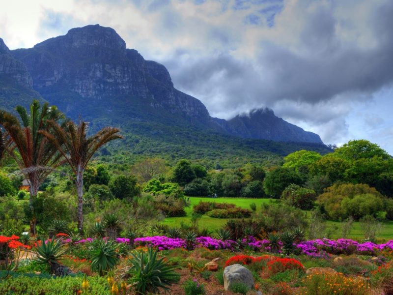 kirstenbosch kirstenbosch